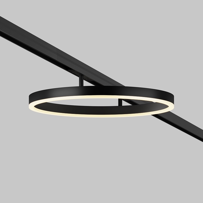 Трековый светильник Maytoni Technical TR227-2-24W3K-B