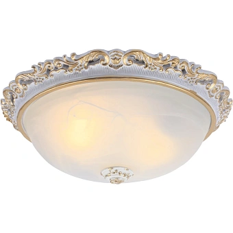 Потолочный светильник Arte Lamp TORTA A7152PL-2WG