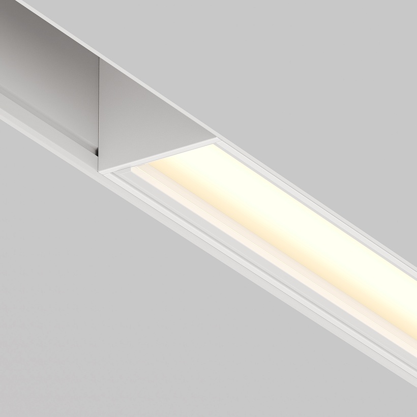Трековый светильник Maytoni Technical TR106-2-12W3K-W