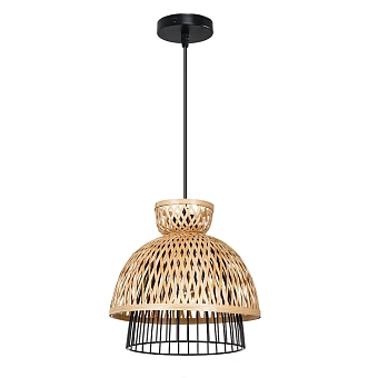Подвесной светильник Arte Lamp WOODSTOCK A7070SP-1BK
