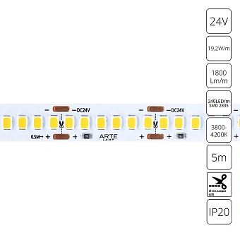 Светодиодная лента 24V 19,2W/m 4000К 5м Arte Lamp TAPE A2424010-02-4K