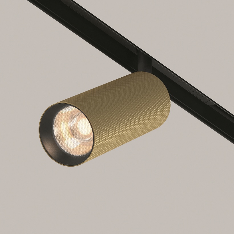 Трековый светильник Maytoni Technical TR097-2-12W3K-M-BMG