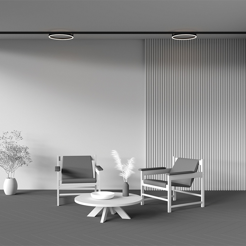 Трековый светильник Maytoni Technical TR227-2-24W3K-B