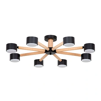 Потолочная люстра Arte Lamp TENDA A1624PL-8BK