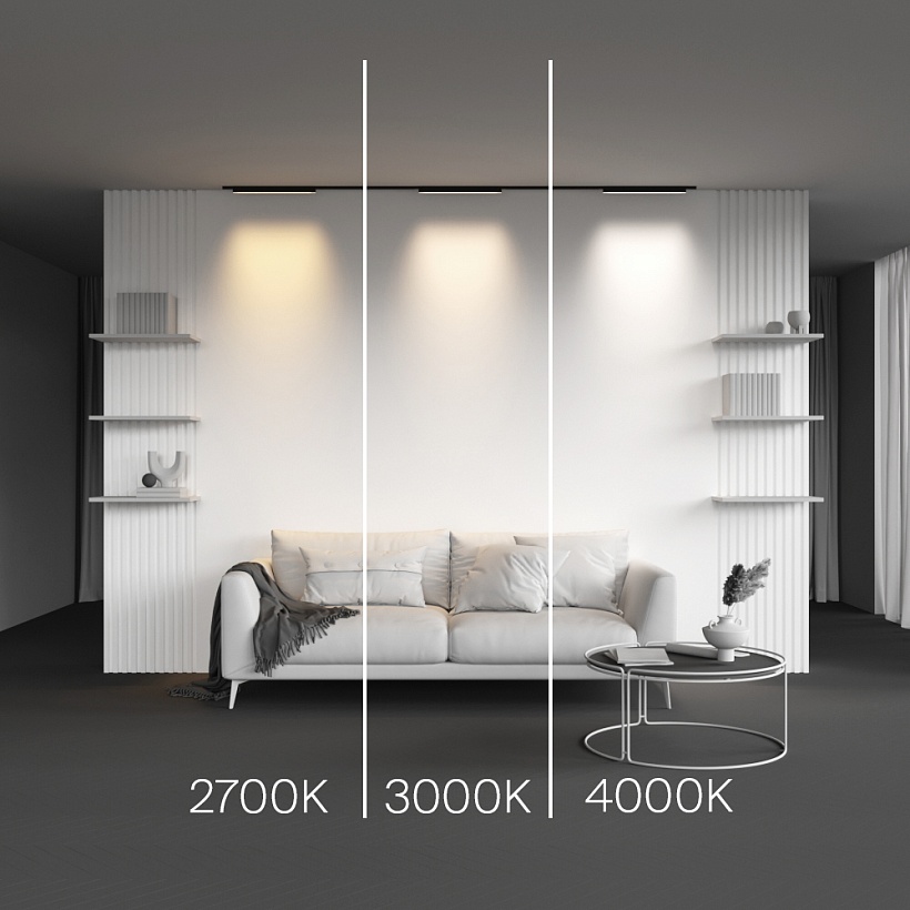 Трековый светильник Maytoni Technical TR192-1-12W3K-B