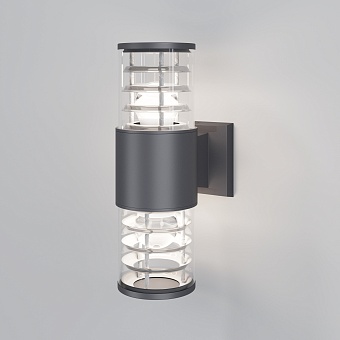 Уличный настенный светильник Outdoor O576WL-02GR