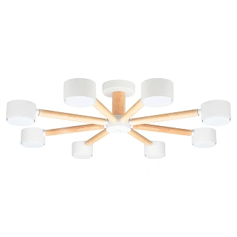 Потолочная люстра Arte Lamp TENDA A1624PL-8WH