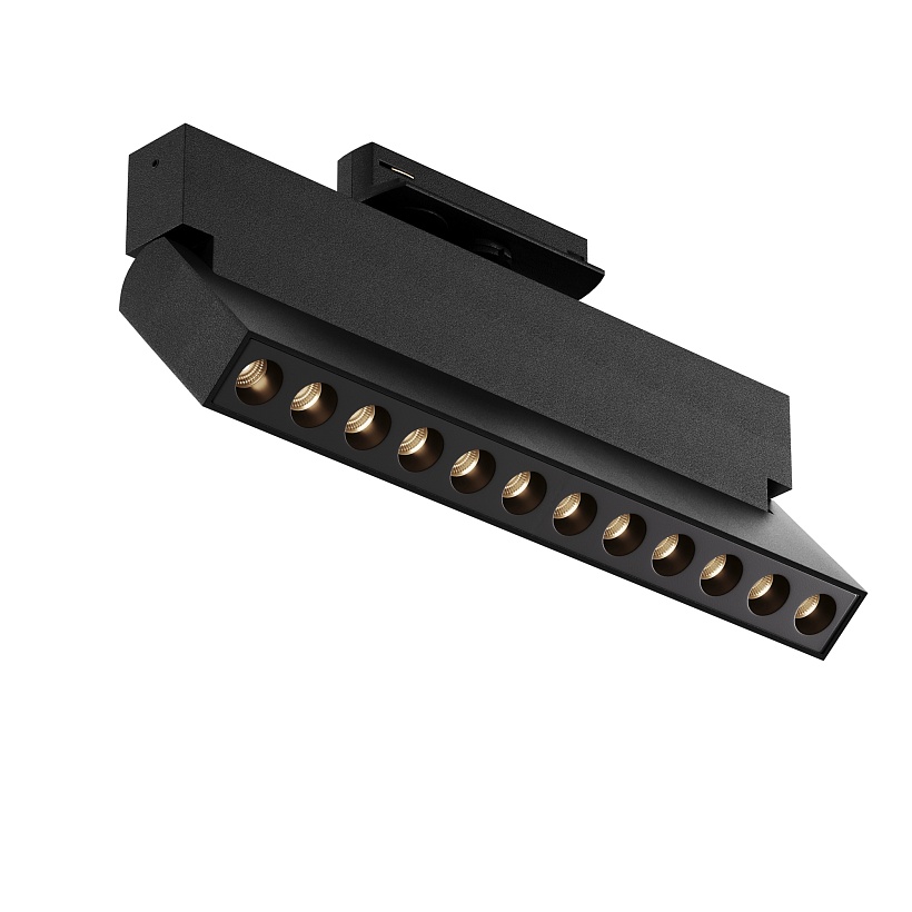 Трековый светильник Maytoni Technical TR224-1-12WCCT-M-B