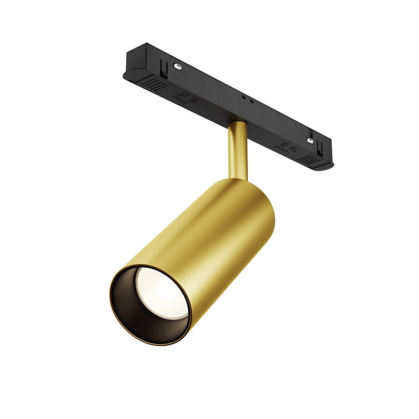Трековый светильник Maytoni Technical TR032-2-12W4K-S-MG