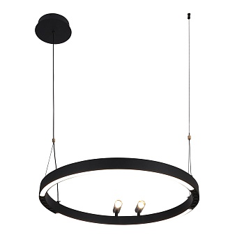 4474-1P, подвесная люстра, D600xH1000/1800, LEDx58W + 2xLEDx3W, 1860LM, 3000-6500K, included, remote control