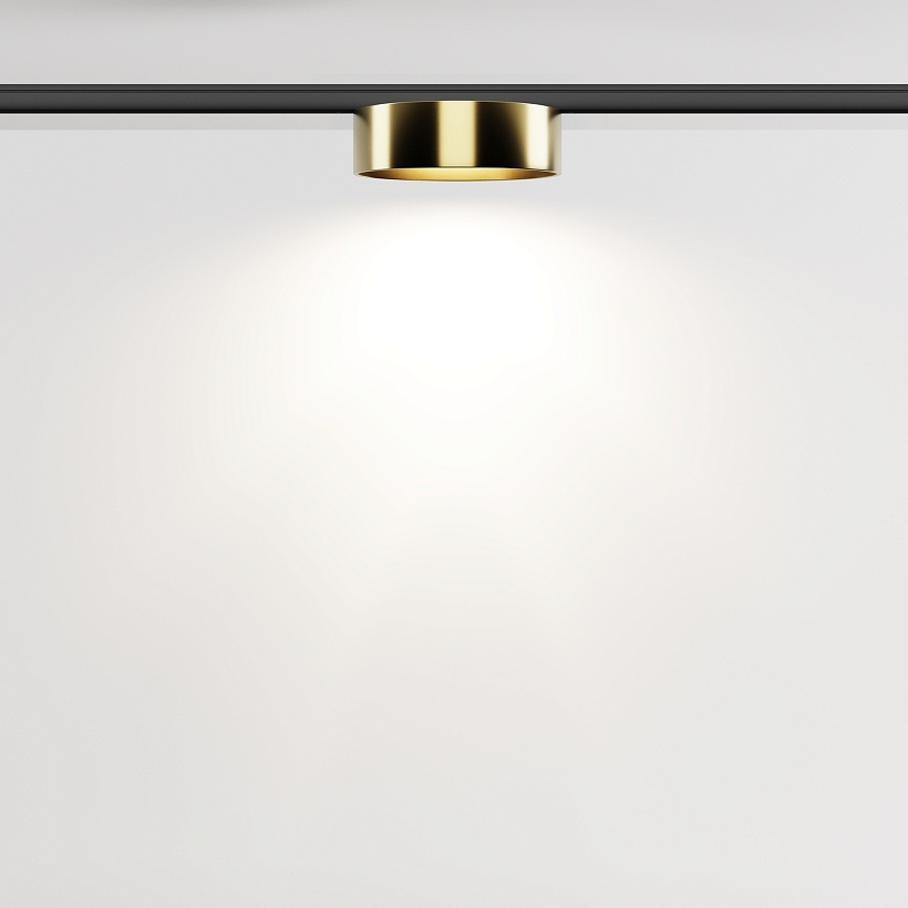 Трековый светильник Maytoni Technical TR189-1-12W4K-BBS