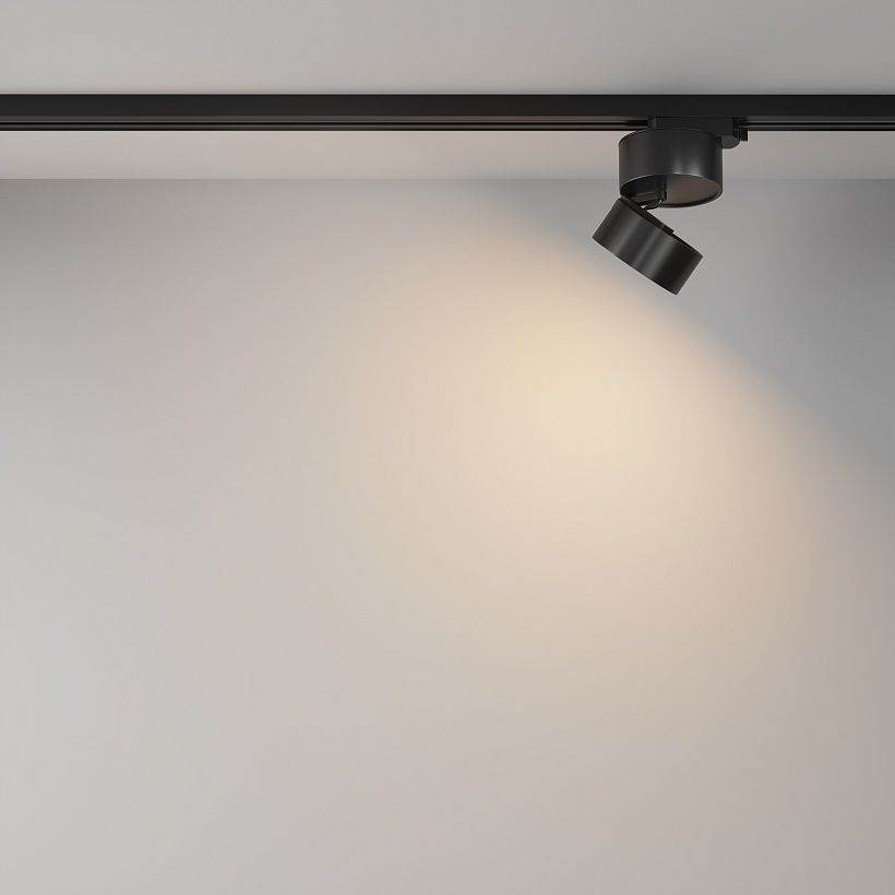 Трековый светильник Maytoni Technical TR007-1-12W3K-B-1