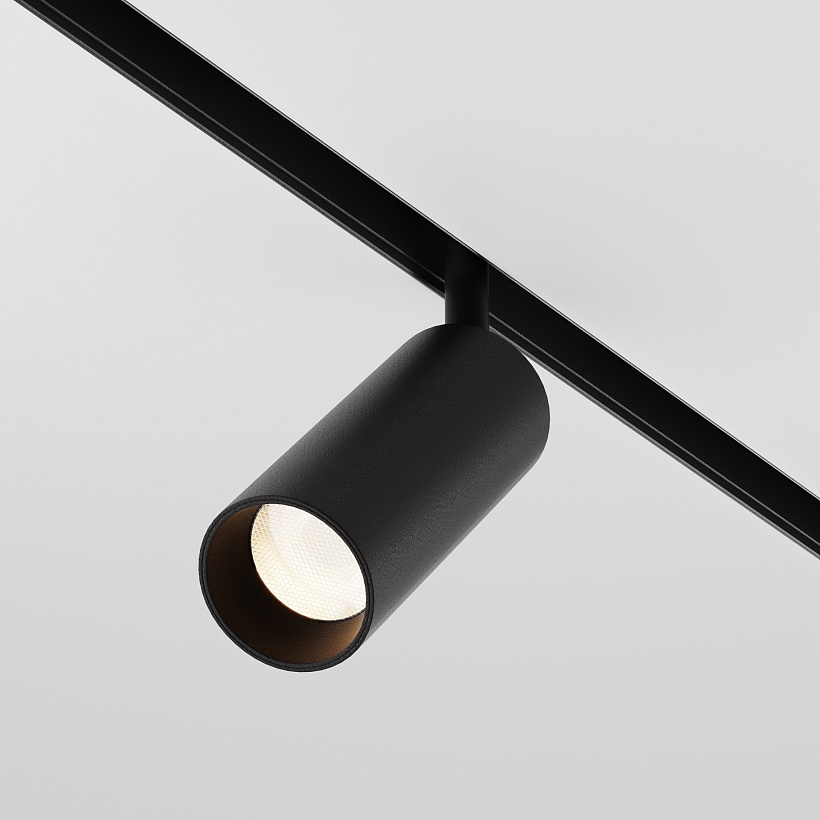 Трековый светильник Maytoni Technical TR032-2-12W3K-M-B
