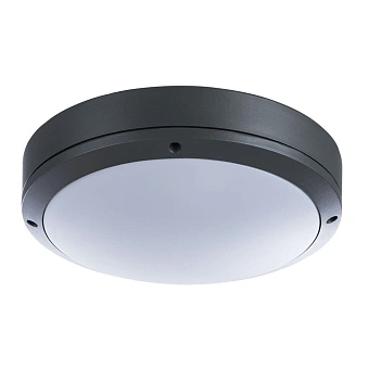 Уличный потолочный светильник Arte Lamp CITY A8154PF-2GY