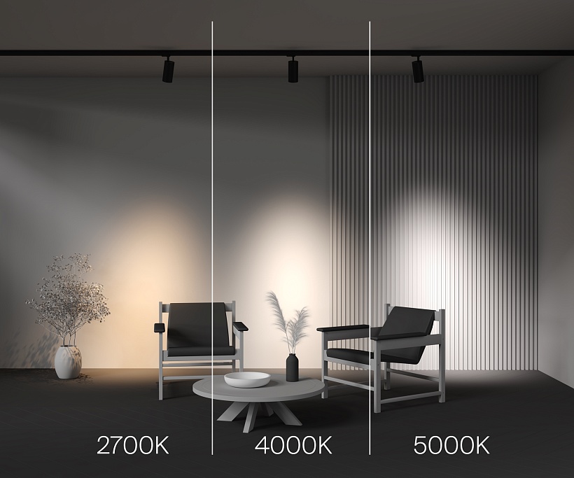 Трековый светильник Maytoni Technical TR197-3-30WCCT-M-B