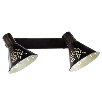 Спот Arte Lamp CONO A5218AP-2BR