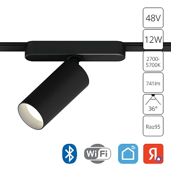 Магнитный трековый светильник Arte Lamp RAPID SMART A2958PL-1BK