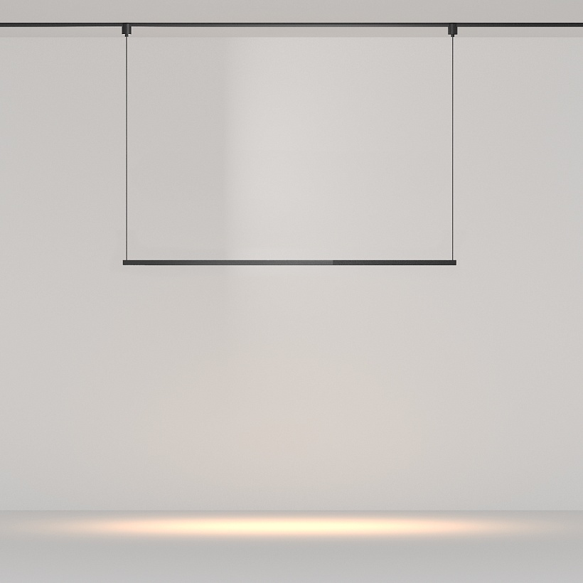 Трековый подвесной светильник Maytoni Technical TR169-1-52W3K-M-B