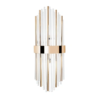 Настенный светильник Arte Lamp ACAPULCO A1007AP-2GO
