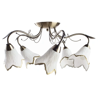 Потолочная люстра Arte Lamp BARBARA A6066PL-5AB