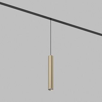 Светильник на шине Denkirs DK8008-BG