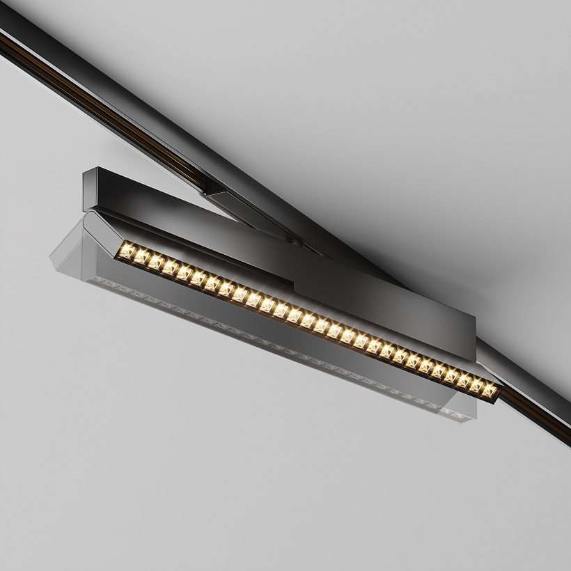 Трековый светильник Maytoni Technical TR242-2-12W3K-B