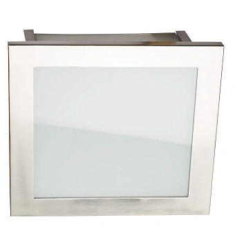 Потолочный светильник Arte Lamp FLUSHES A6064PL-2SS