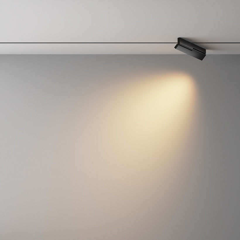 Трековый светильник Maytoni Technical TR242-2-12W3K-B