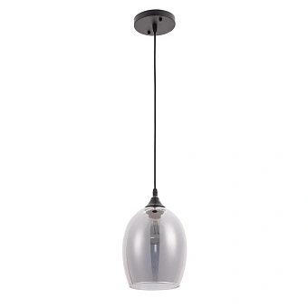 Подвесной светильник Arte Lamp PROPUS A4344SP-1BK