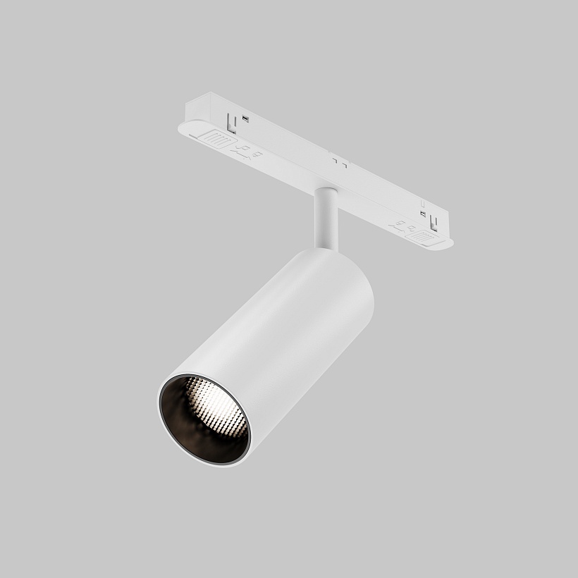 Трековый светильник Maytoni Technical TR032-2-12W4K-S-W