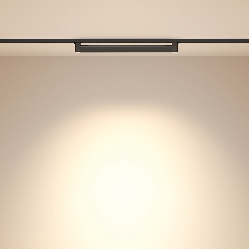 Трековый светильник Maytoni Technical TR010-1-20W3K-M-B