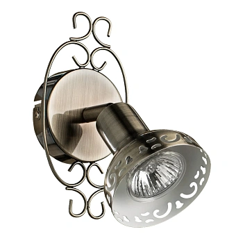 Спот Arte Lamp FOCUS A5219AP-1BR
