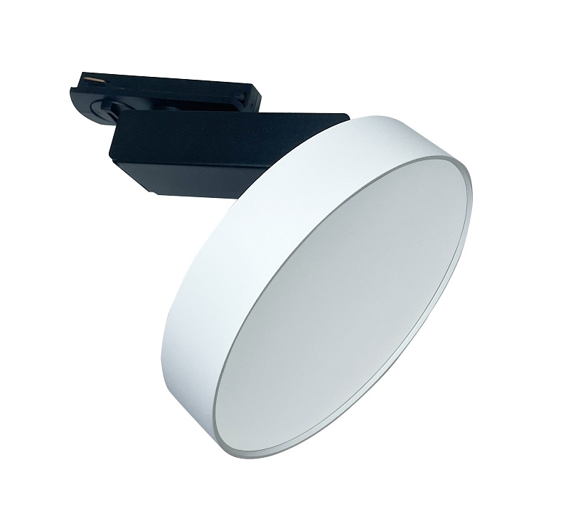 Трековый светильник Maytoni Technical TR043-1-12W3K-W