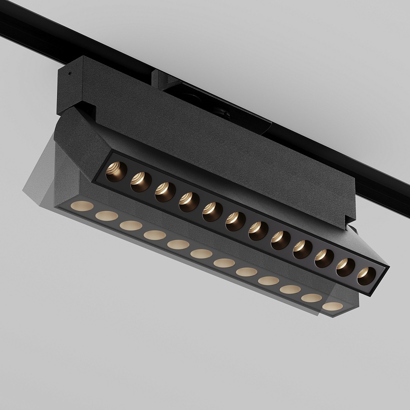 Трековый светильник Maytoni Technical TR224-1-12WCCT-M-B