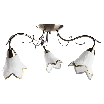 Потолочная люстра Arte Lamp BARBARA A6066PL-3AB