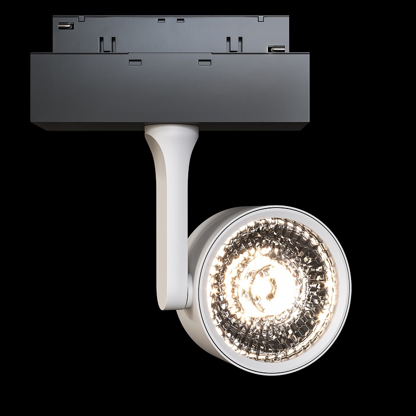 Трековый светильник Maytoni Technical TR024-2-10W3K