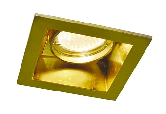 Точечный встраиваемый светильник Arte Lamp TECHNIKA A8050PL-1GO