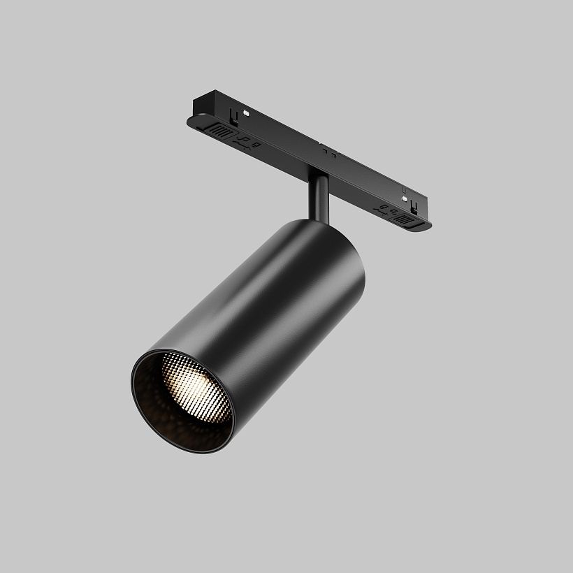 Трековый светильник Maytoni Technical TR032-2-20W2.7K-M-B