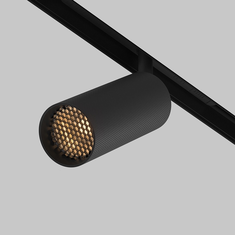 Трековый светильник Maytoni Technical TR097-2-12W2.7K-M-BB
