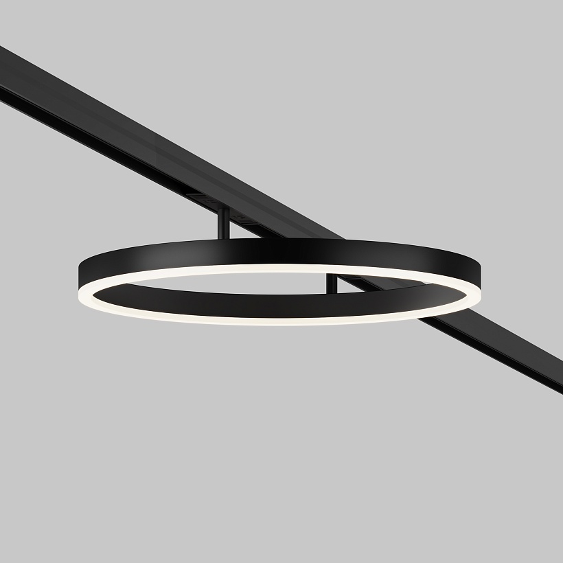 Трековый светильник Maytoni Technical TR227-2-24W4K-B
