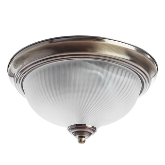 Потолочный светильник Arte Lamp AQUA A9370PL-2AB