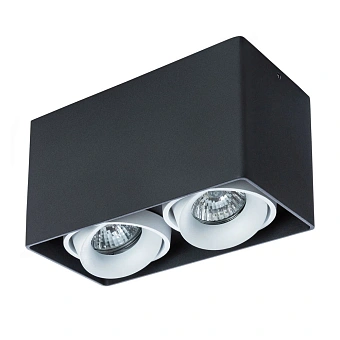 Точечный накладной светильник Arte Lamp PICTOR A5654PL-2BK