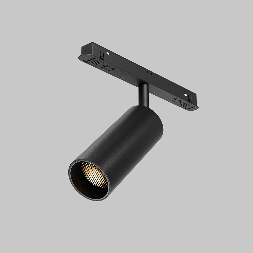 Трековый светильник Maytoni Technical TR032-2-12W2.7K-M-B