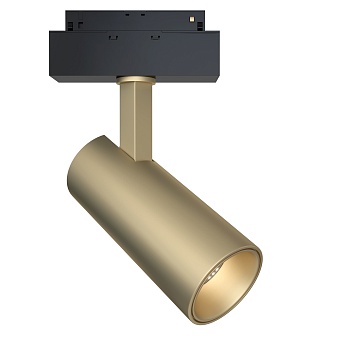 Трековый светильник Maytoni Technical TR019-2-15W3K-MG