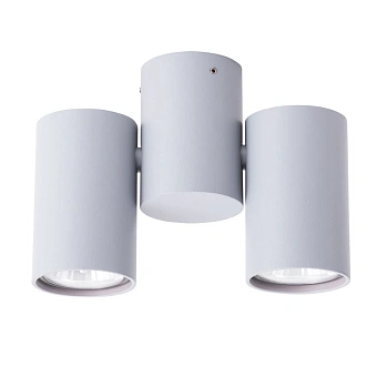 Спот Arte Lamp GAVROCHE A1511PL-2GY