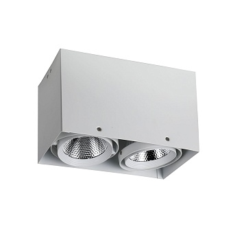 1986-2U, потолочный светильник, L265xW140xH160, COB 2xLEDx12W, RA>80, BEAM ANGLE:24°, 1920LM, 4000K, included