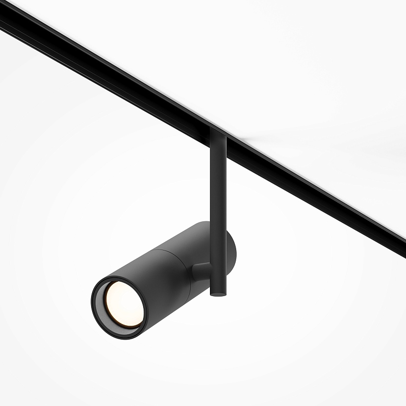 Трековый светильник Maytoni Technical TR005-2-12W4K-B