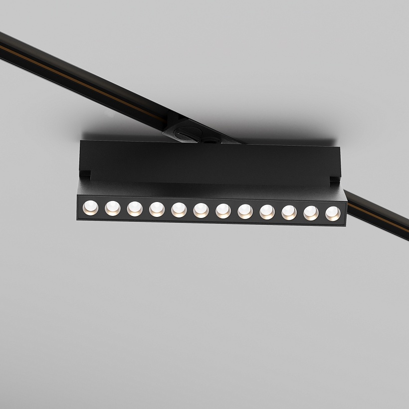 Трековый светильник Maytoni Technical TR224-1-12WCCT-M-B