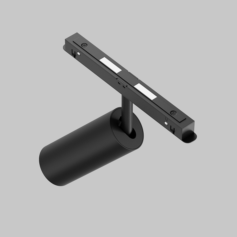 Трековый светильник Maytoni Technical TR032-2-12W2.7K-M-B