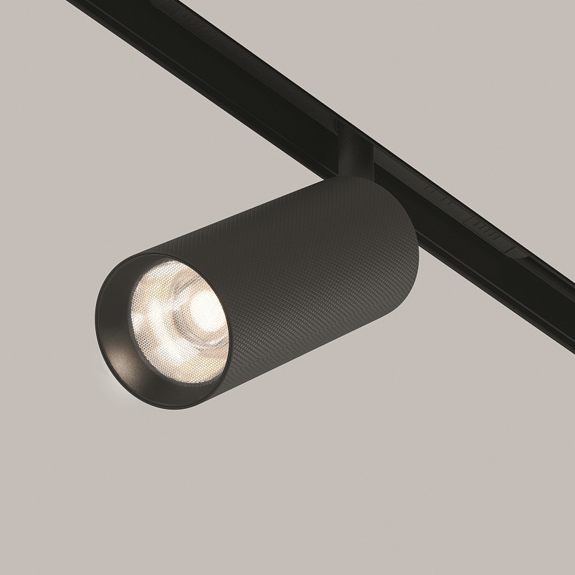Трековый светильник Maytoni Technical TR097-2-12W4K-M-BB